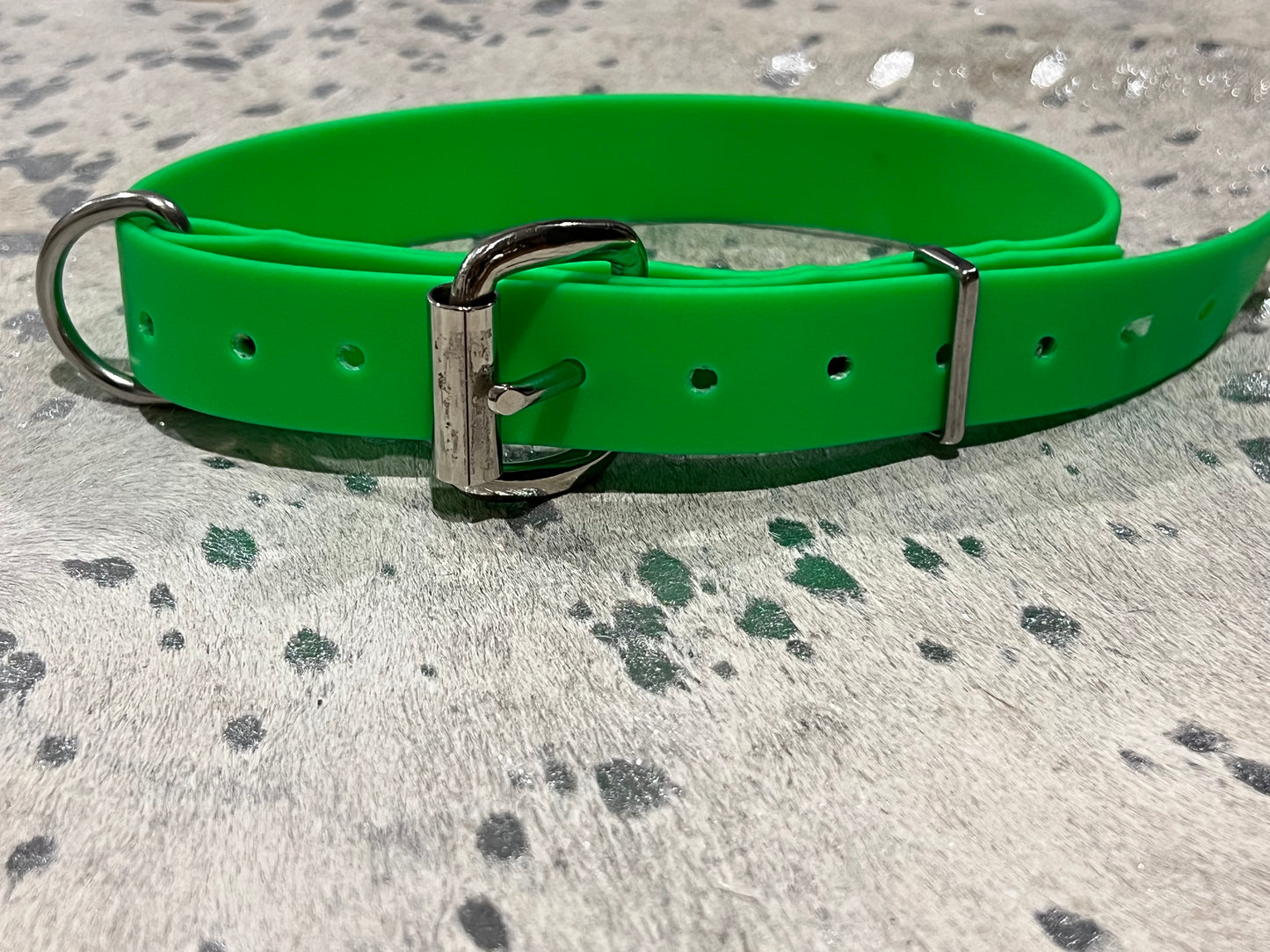 Biothane dog collars
