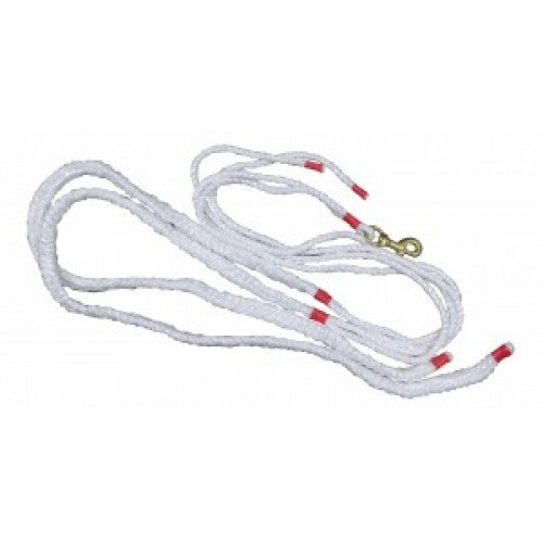 Draw reins