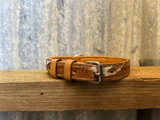 Cowhide dog collar small